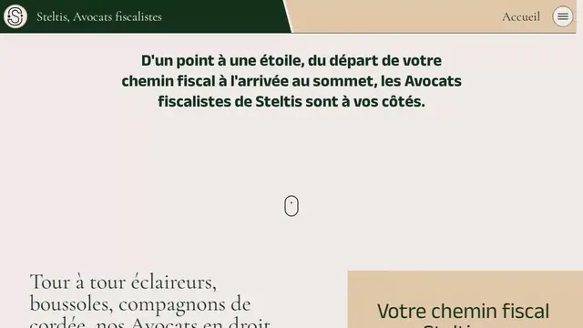 Aperçu du site Steltis Avocats